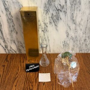 I Hate Steven Singer Green Emerald City 24 Karat Gold Dipped Real Rose NWT